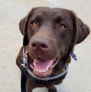 Meet your Posher, Hayden